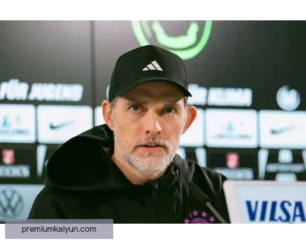 图赫尔德甲经验