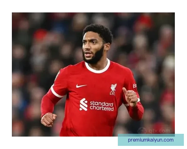 英超乔·戈麦斯的表现稳健，球队防线稳定性提升引人关注